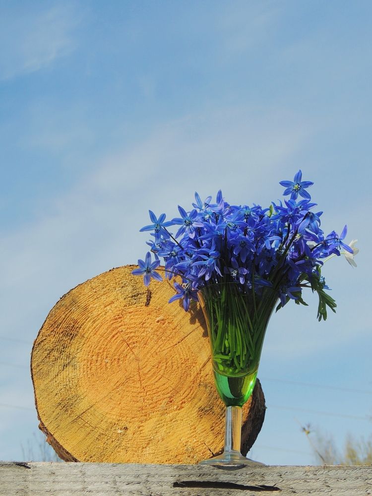 Подарок от дочки