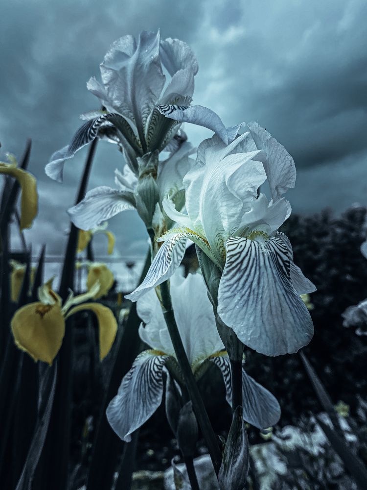 Фотография автора Филатова Алина