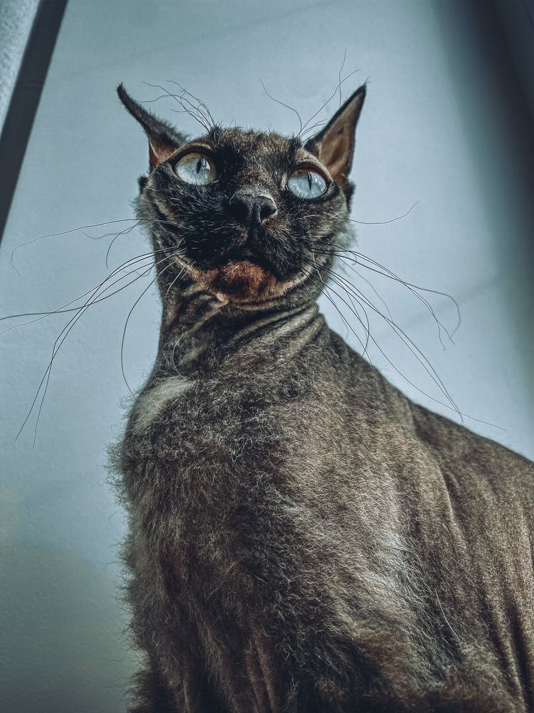 Фотография автора Филатова Алина