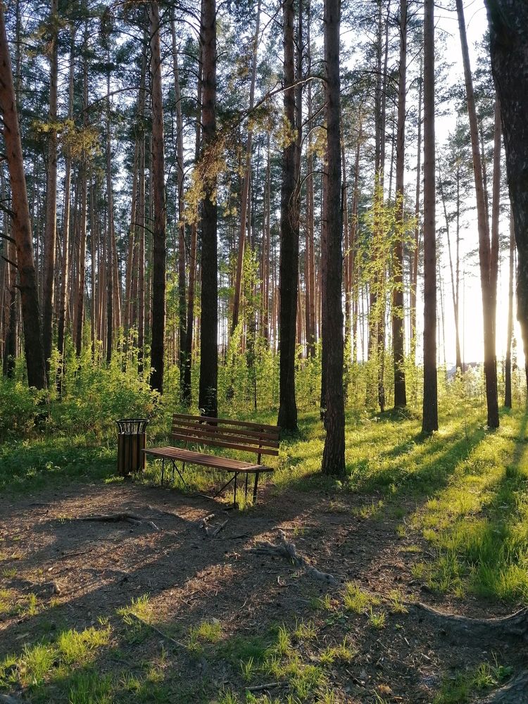 Фотография автора Юлия Лубкина