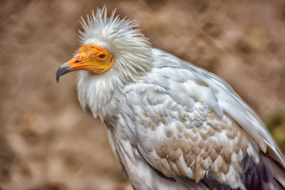 Photograph by Анна Кривицкая