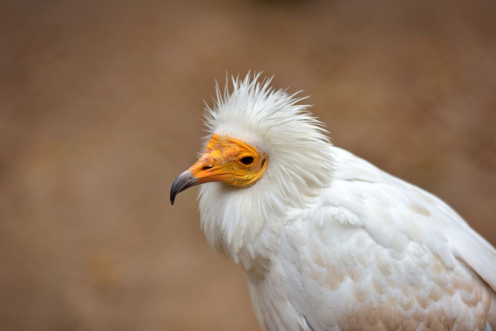 Photograph by Анна Кривицкая