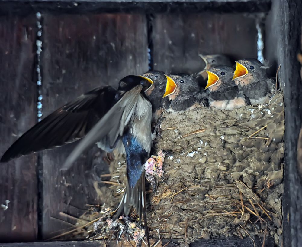 Photograph by Анна Кривицкая