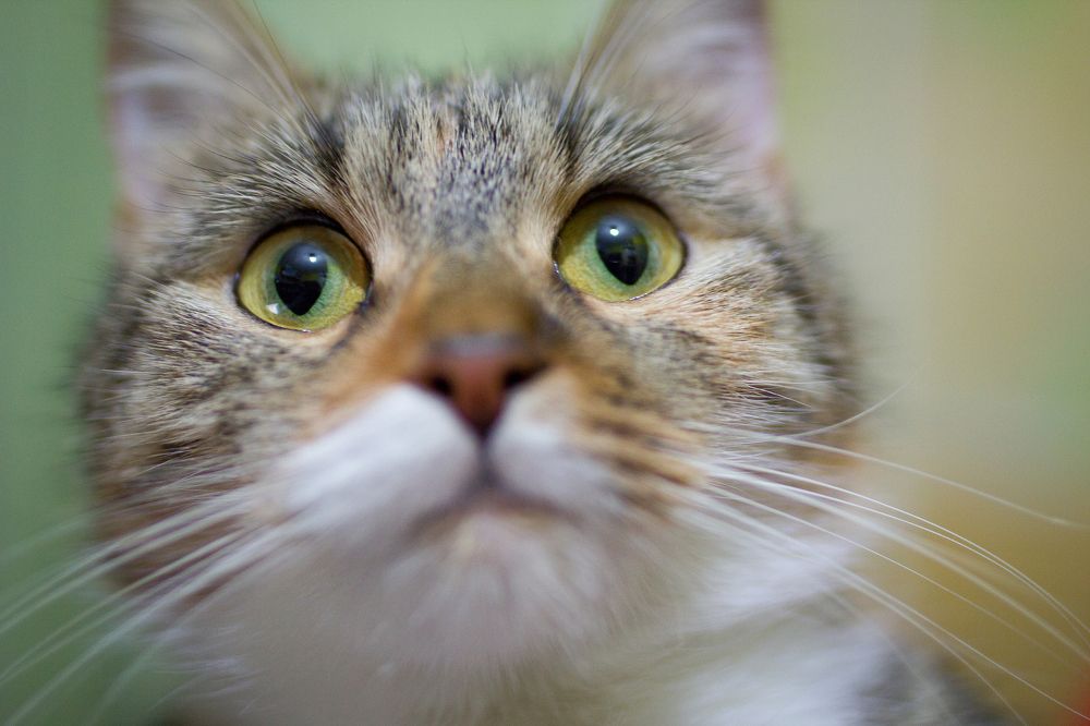 Photograph by victoria curasevici