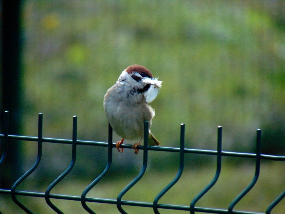 Photograph by Ольга Шевцова