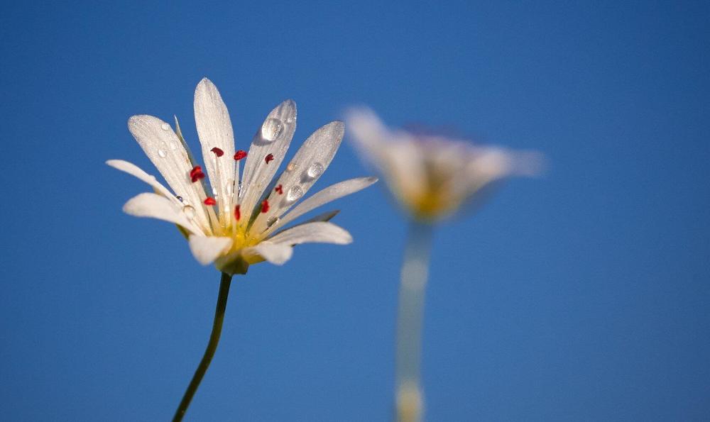 Photograph by Шевченко Алексей
