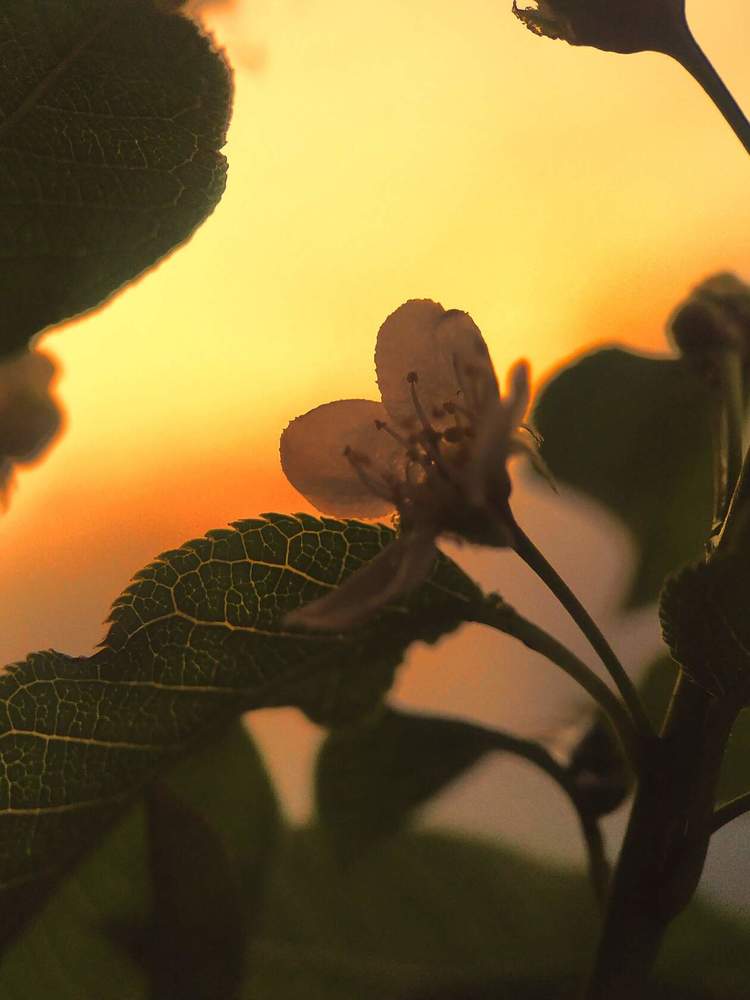 Photograph by Шевченко Алексей