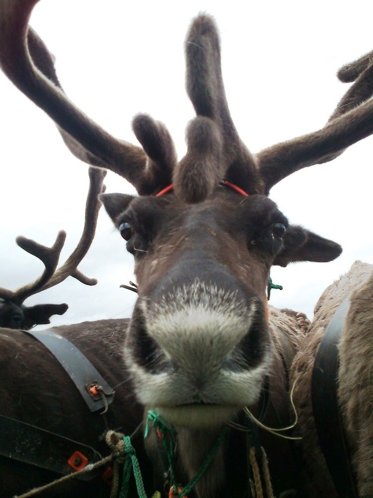 Фотография автора Tkachev Aleksey