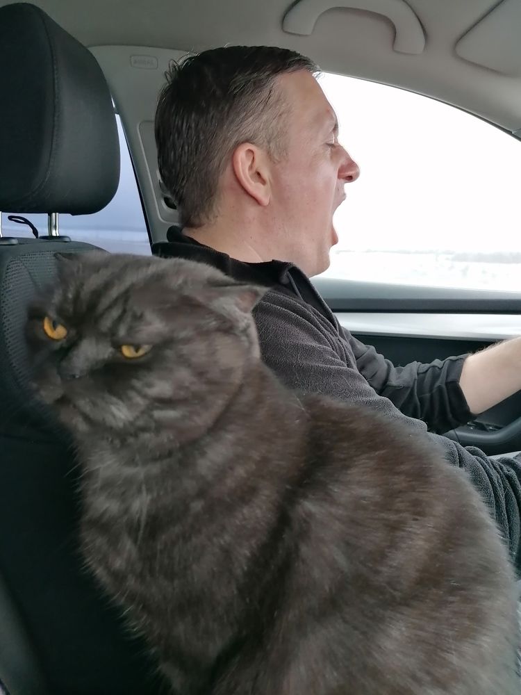 Дальняя поездка на машине