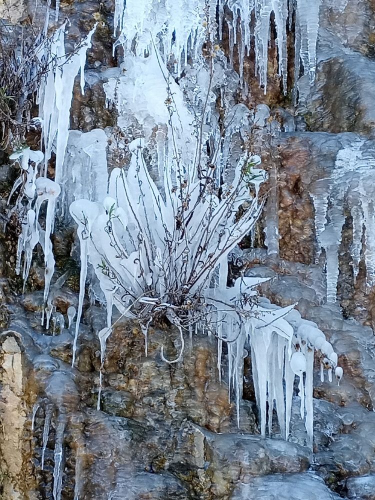 Photograph by Layal Farah