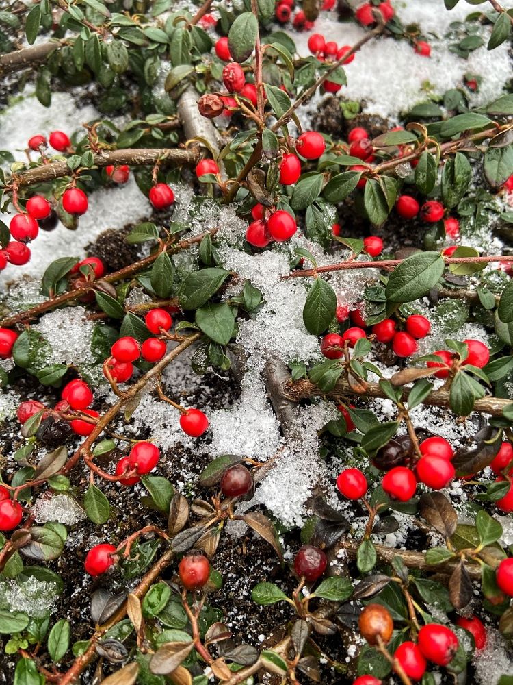 Photograph by Оксана Смородина