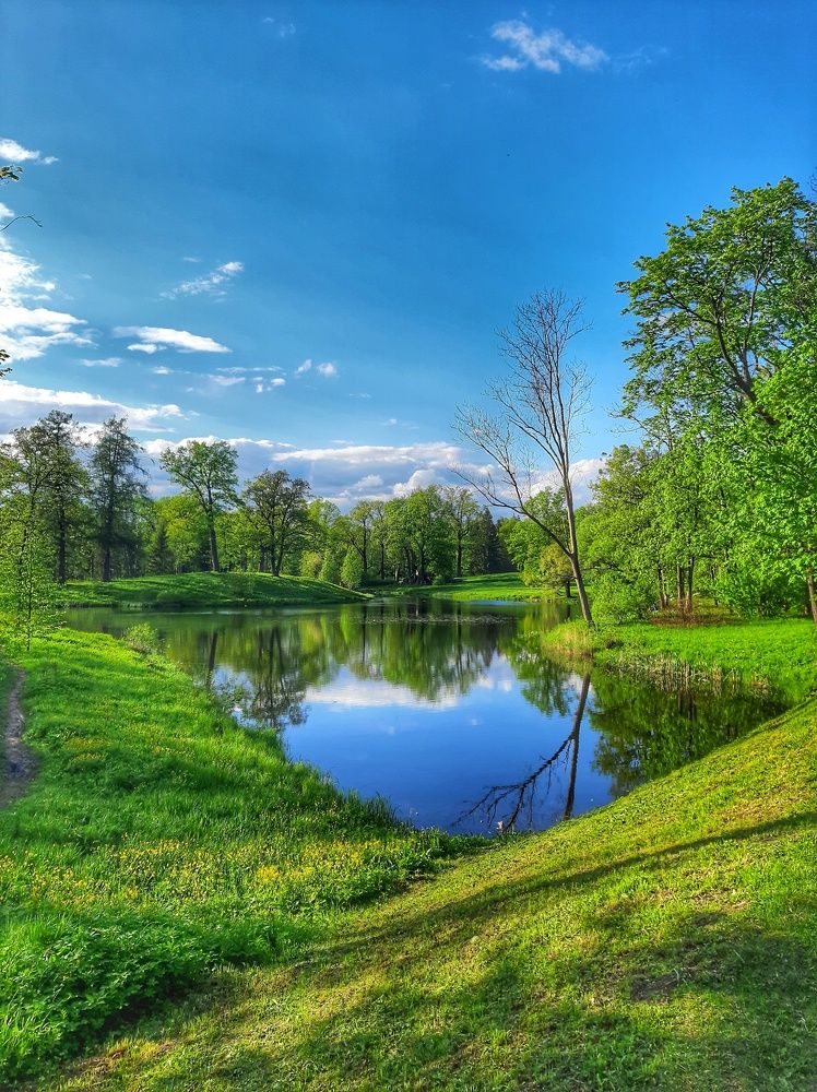 Photograph by Оксана Смородина