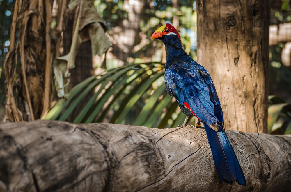 Photograph by Наталья Кокорина