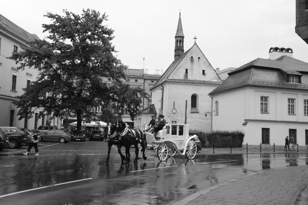 Photograph by Nadezhda Bakina