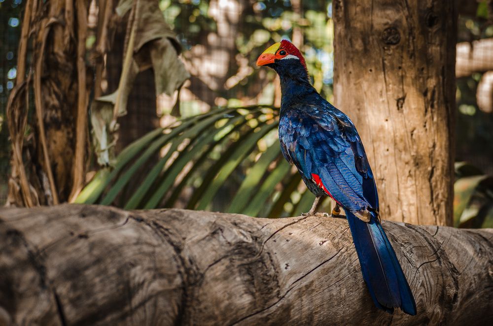 Photograph by Наталья Кокорина