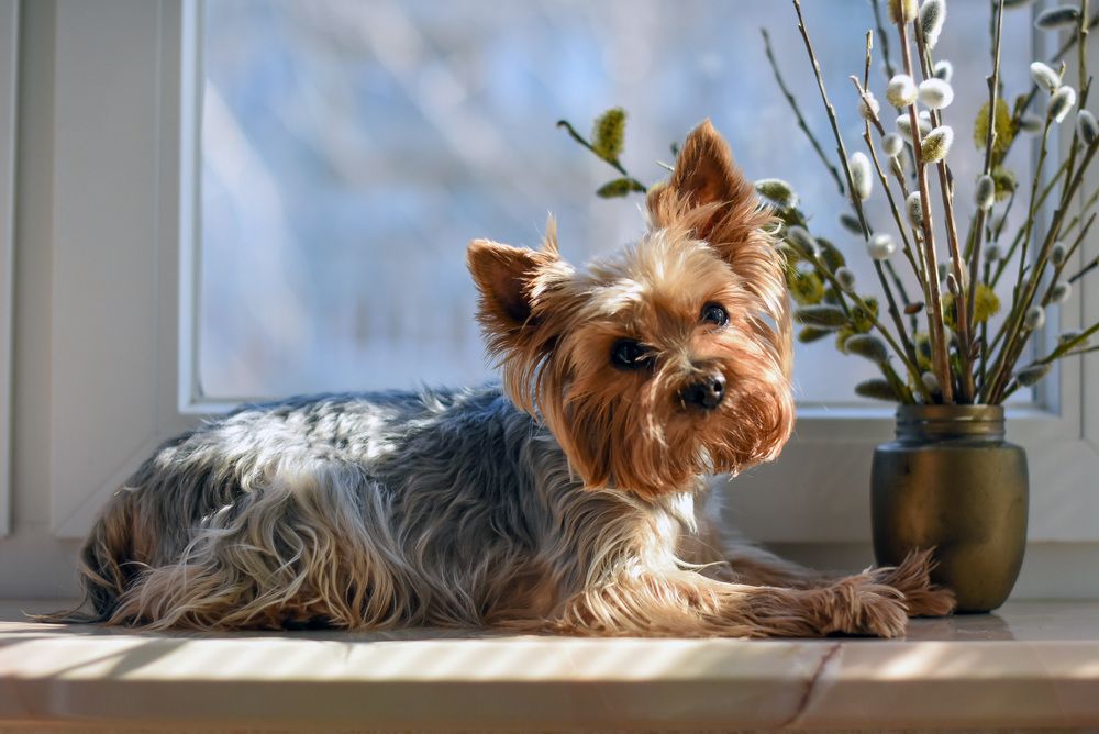 На весеннем солнышке