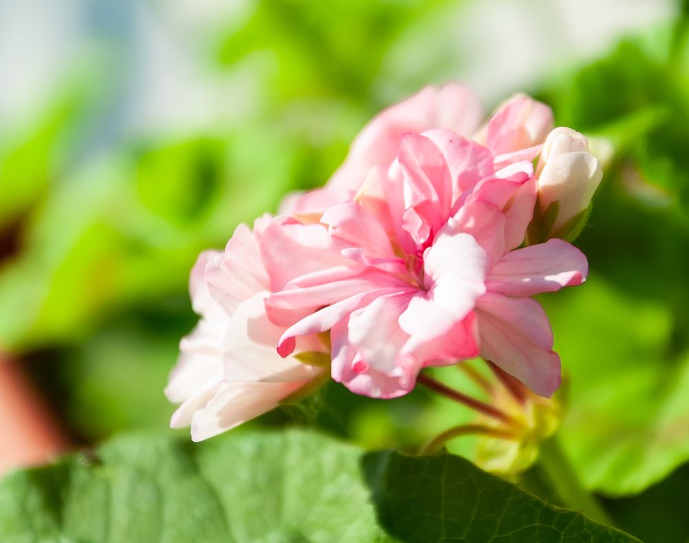 Фотография автора Олег Анатольевич Загорулько