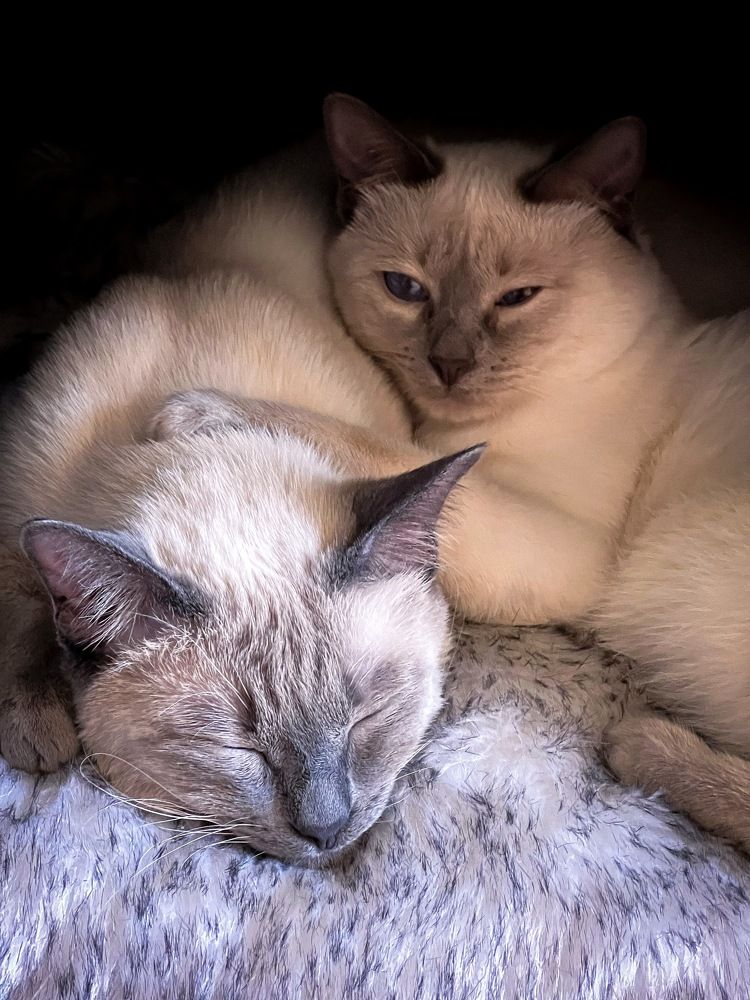 Photograph by Елена Башмакова