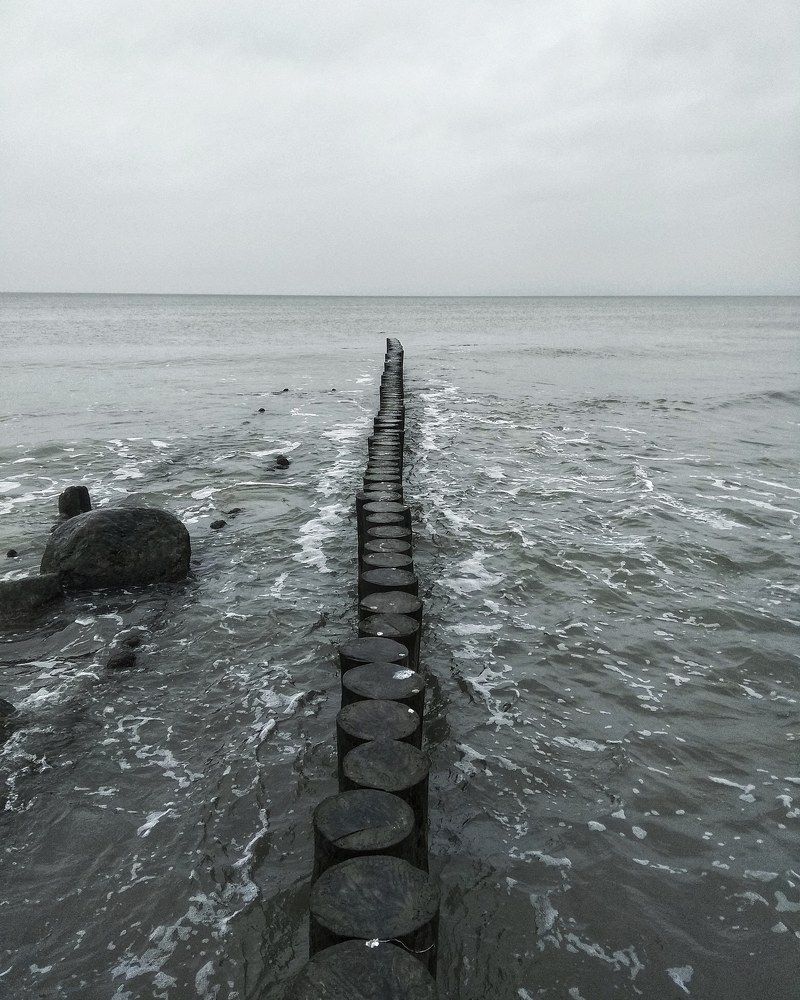 Photograph by Anna Rom