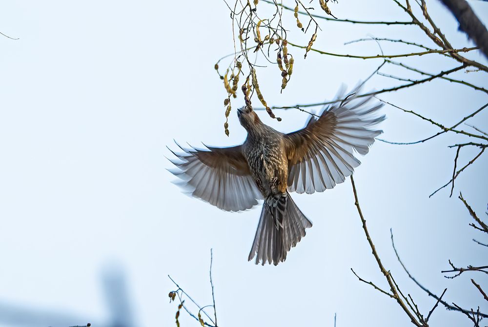 Photograph by Myunggyu Bae