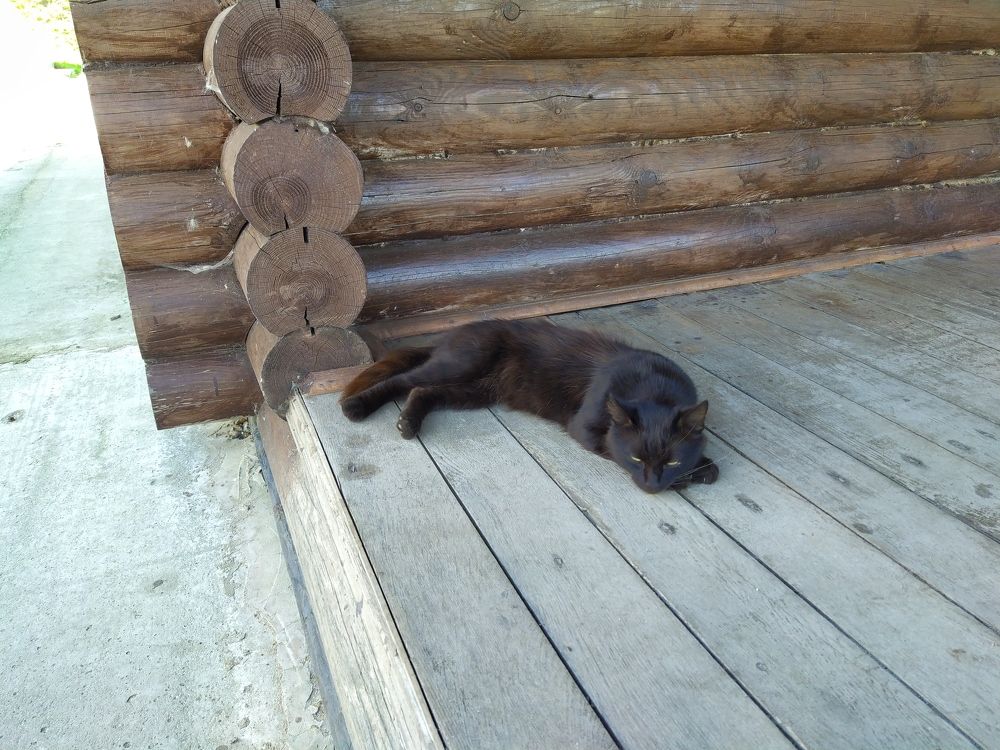 Photograph by Marina