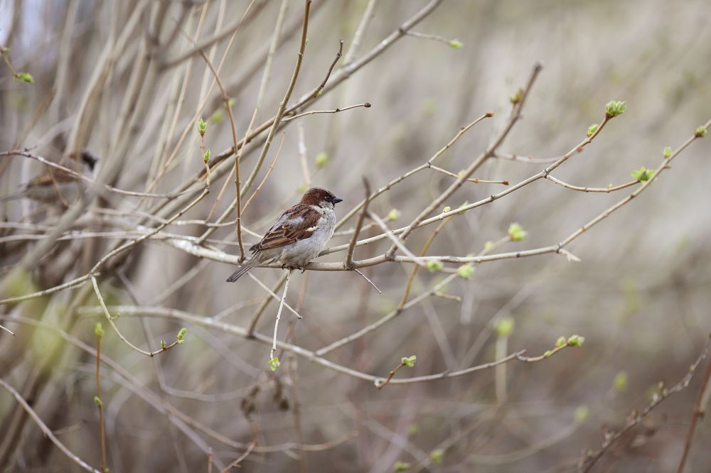 Photograph by Екатерина Творогова