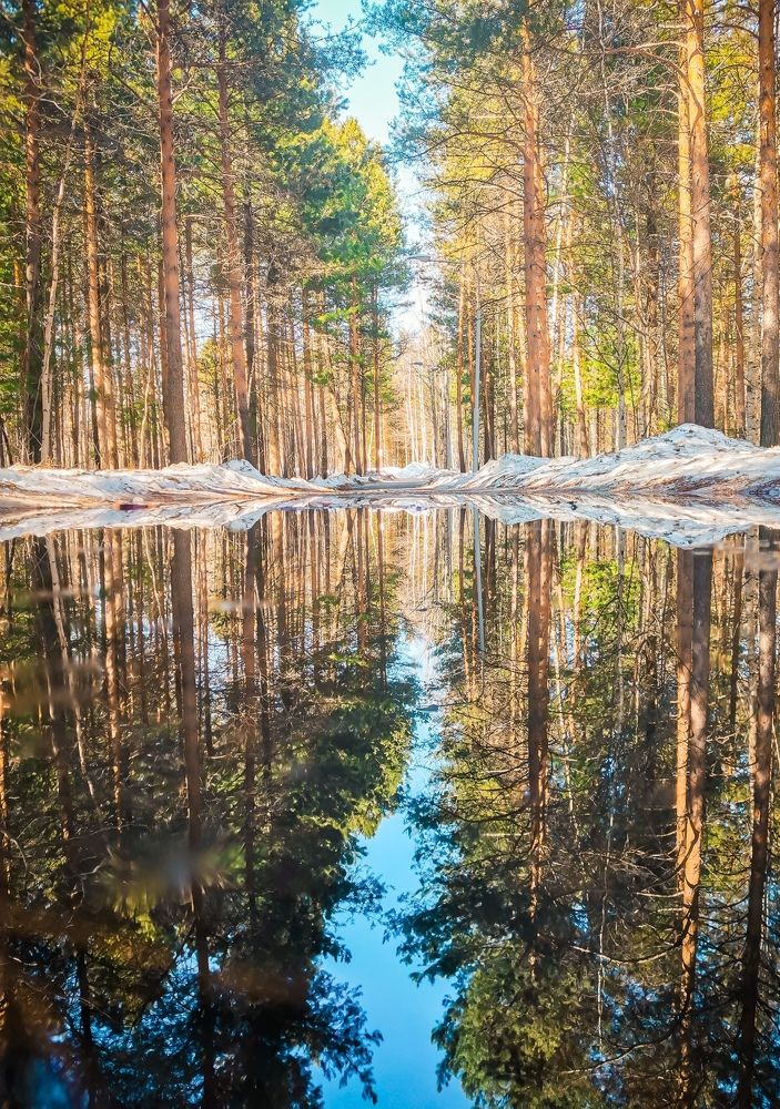 Photograph by Инна Смолякова