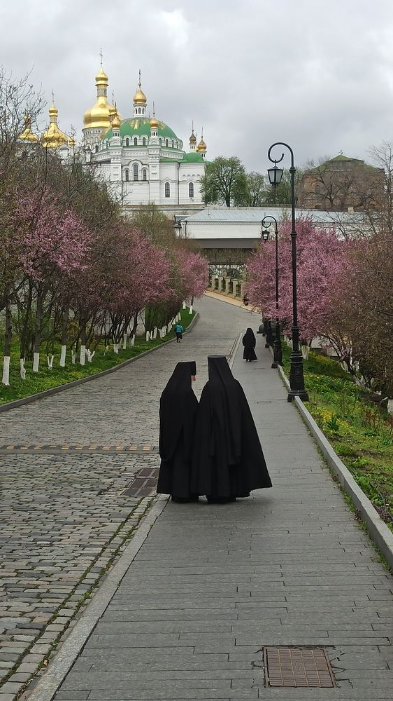 Photograph by Валерий Нестеров