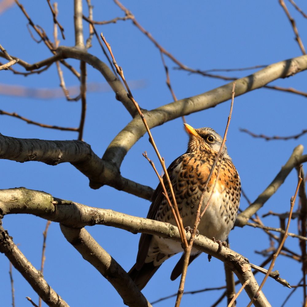 Photograph by Юлия Куликова
