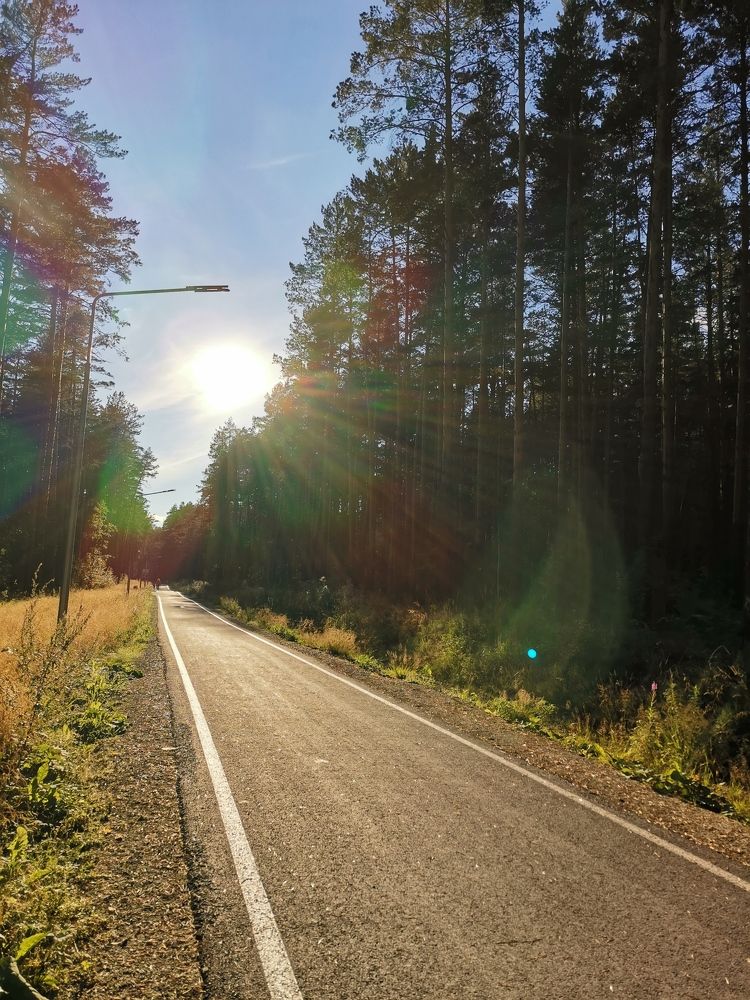 Фотография автора Юлия Лубкина
