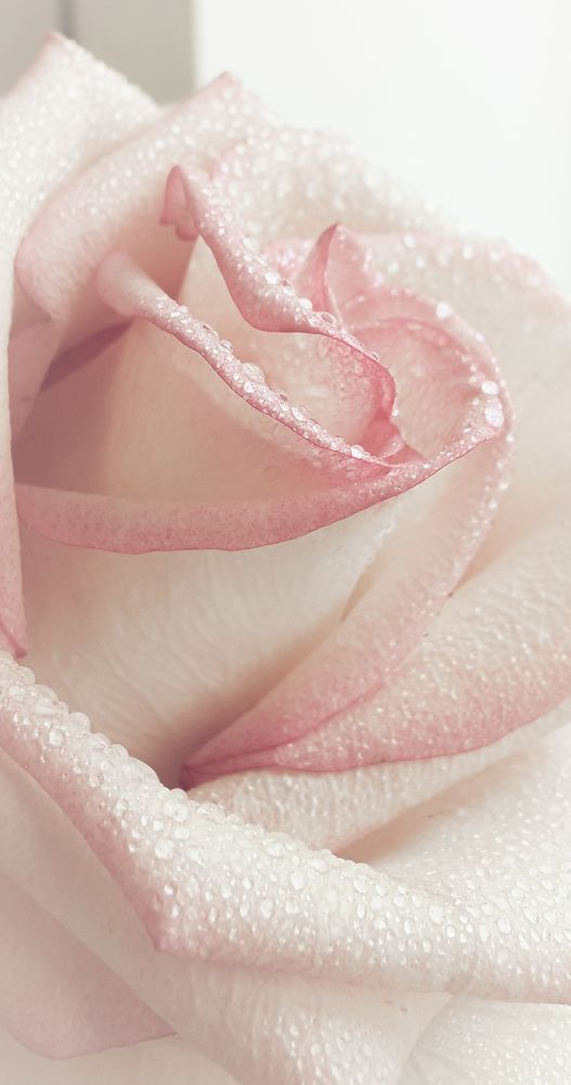 Photograph by Ксения Супрун