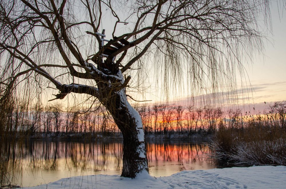 Photograph by Редько Александр