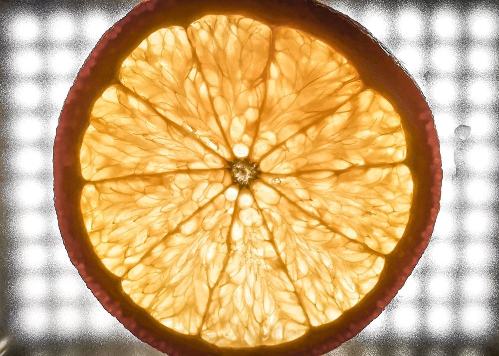 Photograph by Ксения Супрун