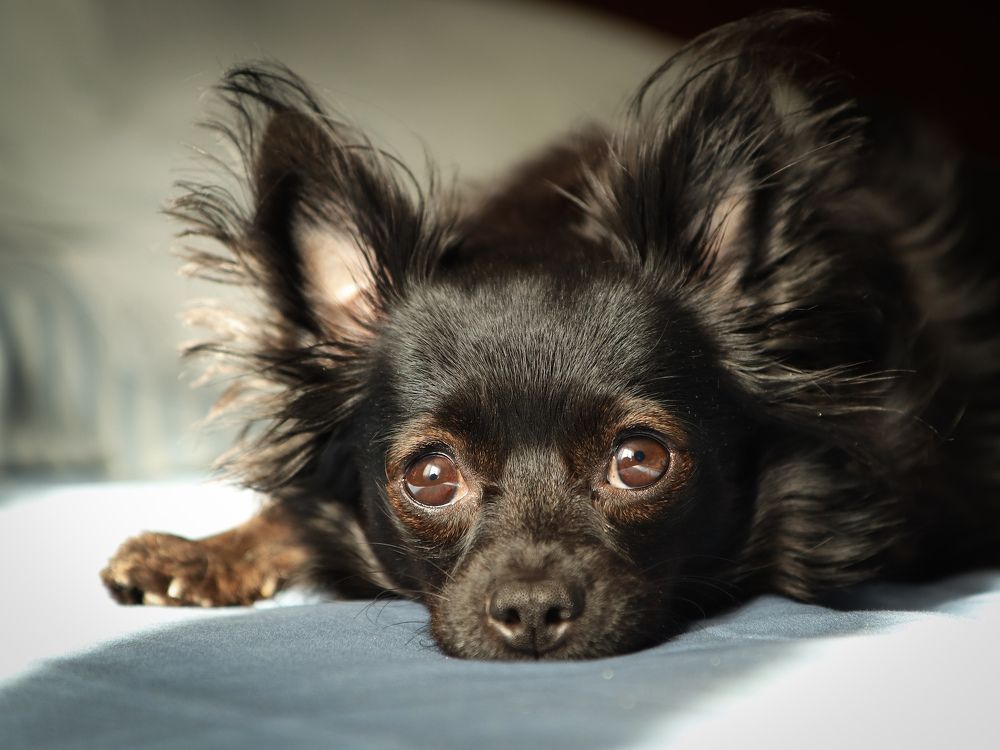 Photograph by Екатерина Слепнева