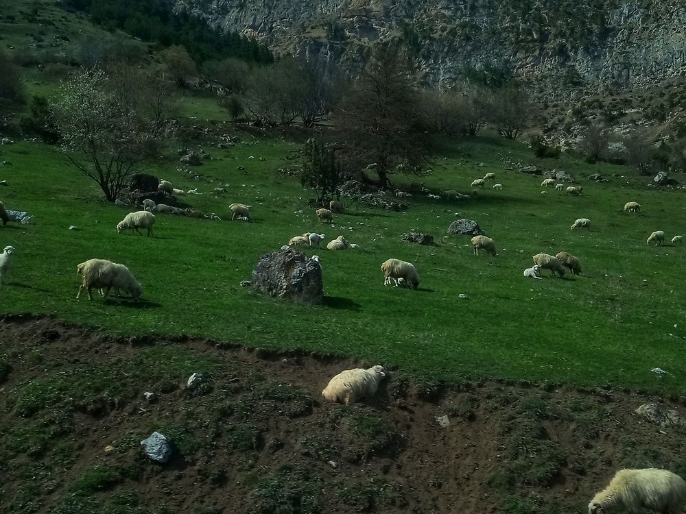 Photograph by Наталья