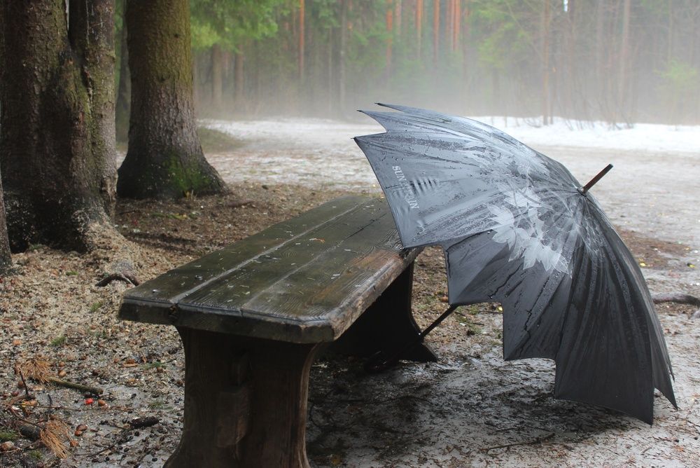 Фотография автора Тамара Караваева