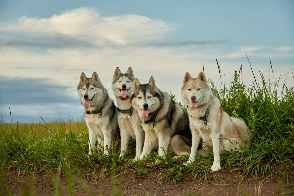 Photograph by Татьяна Кравель