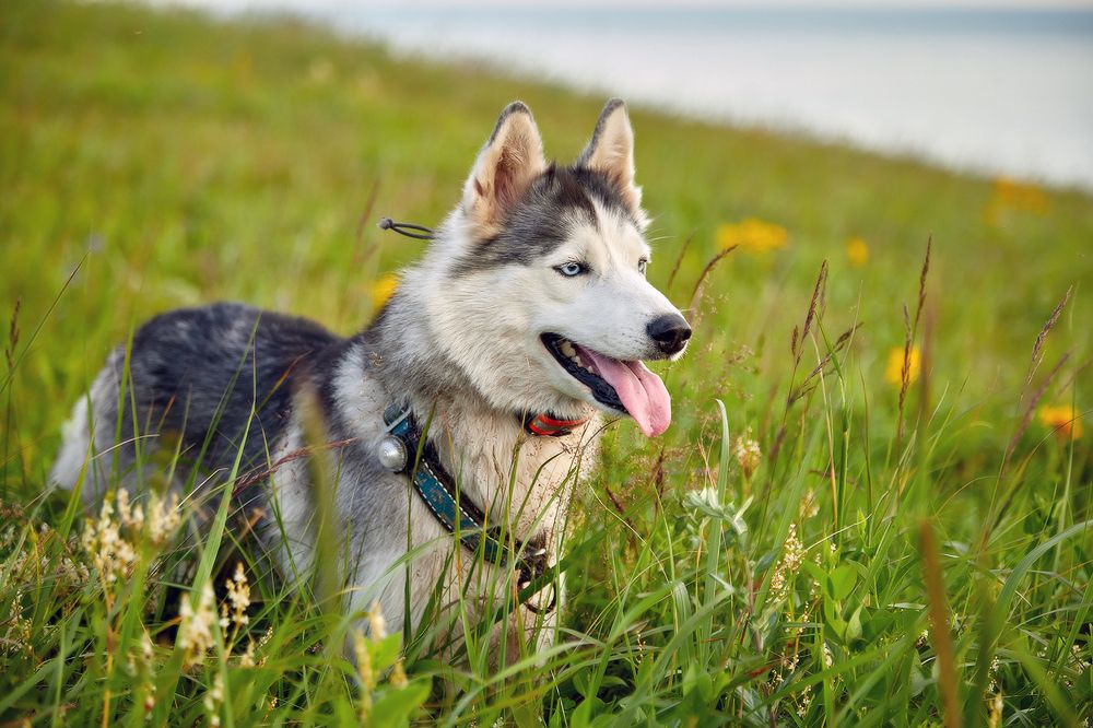 Photograph by Татьяна Кравель