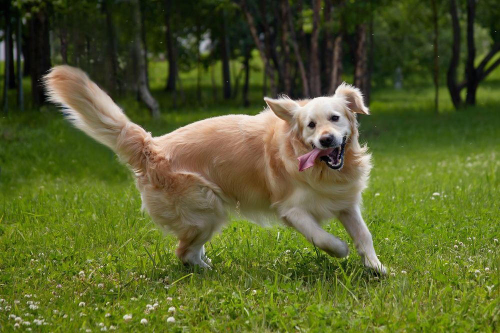 Photograph by Татьяна Кравель