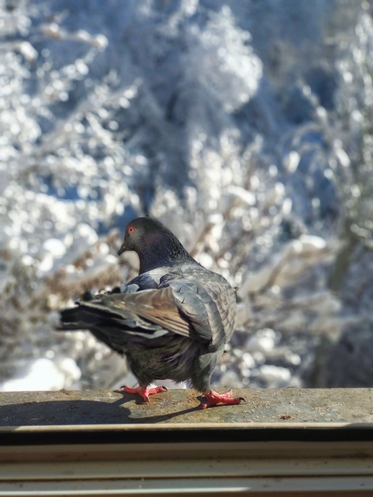 Photograph by Орынбек Асилбаев