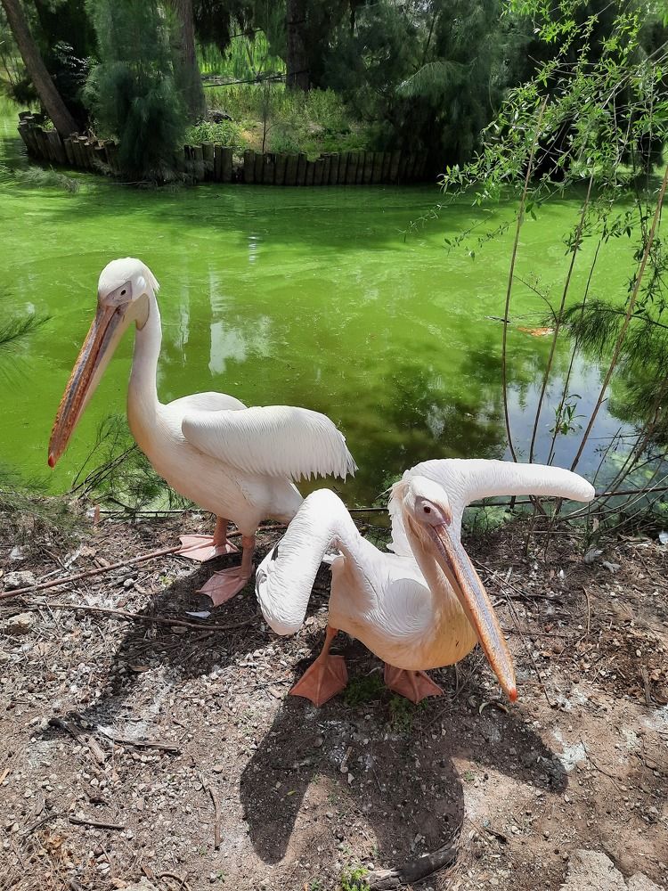 Фотография автора Tetiana Danylenko