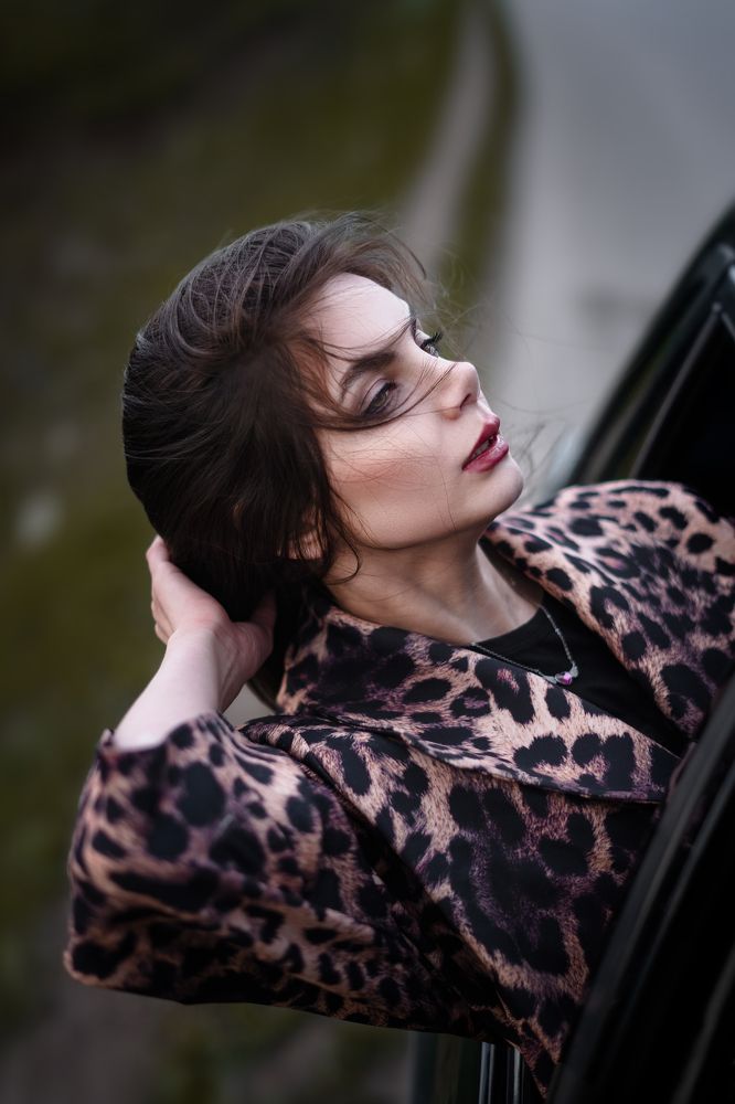 Фотография автора Milad Mohammadi