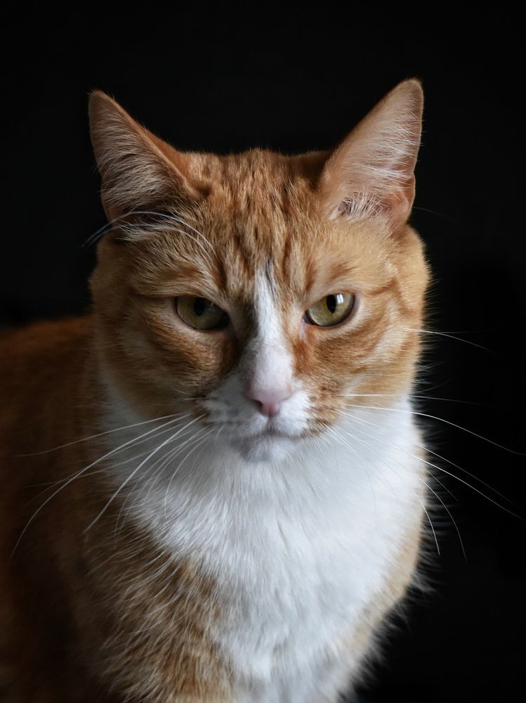 Photograph by Татьяна Юдина