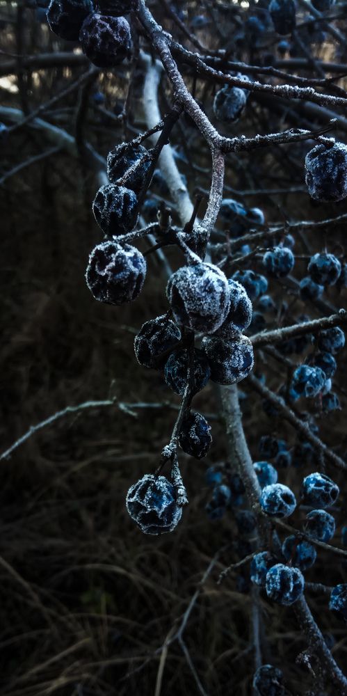 Photograph by Дарья Лазарева