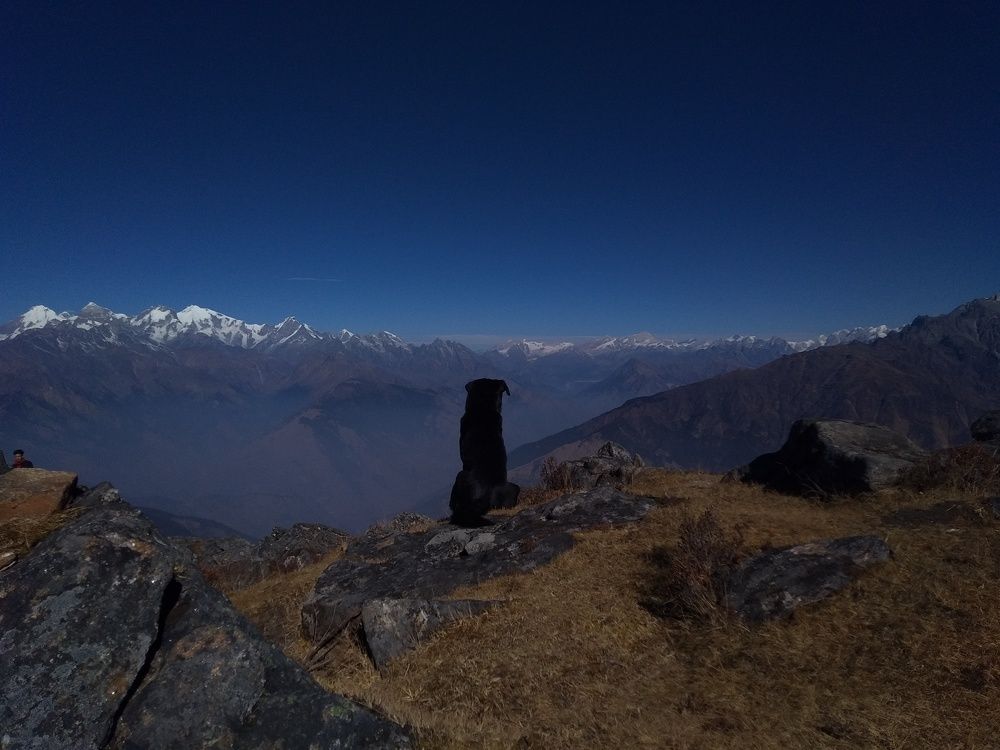 Photo #7523126
