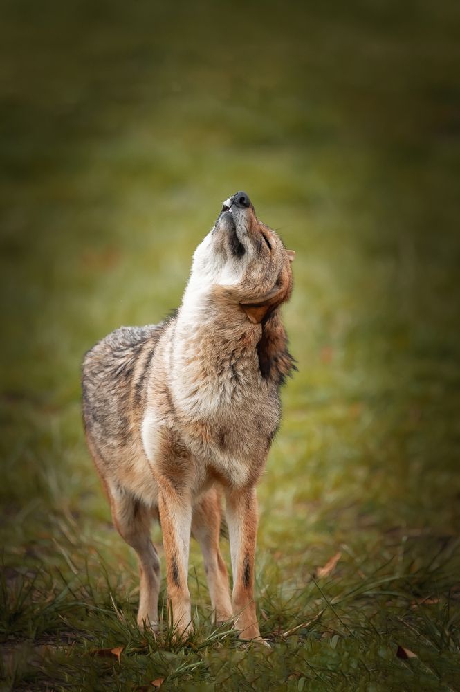 Photograph by David Lerer