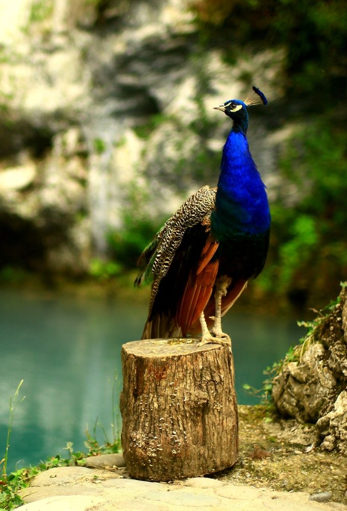 Photograph by Milla Luca