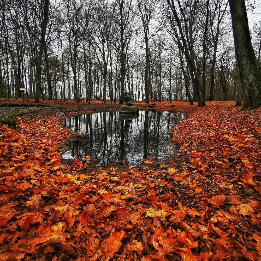 Фотография автора Ринат Абдуллин