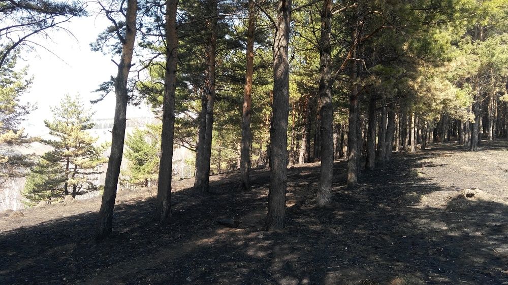 Photograph by Илья Поляков