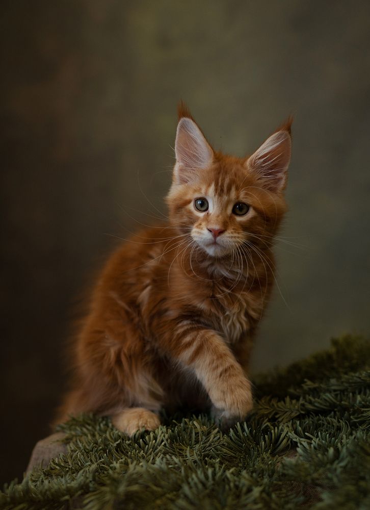 Photograph by Ольга Куницкая